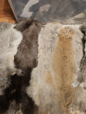 Lot Of 5 Genuine Rabbit Pelt. 5 Random Pelts