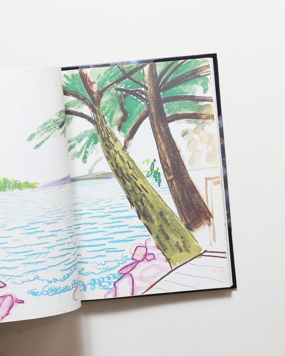David Hockney Martha s Vineyard and other places My Third David Hockney Martha s Vineyard and other places My Third