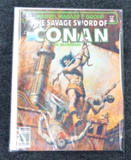 The Savage Sword Of Conan the Barbarian Magazine #67 Marvel Magazine Group 8380