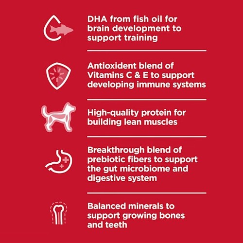 Hill's Science Diet Lamb Meal & Brown Rice Recipe Large Breed Dry Puppy