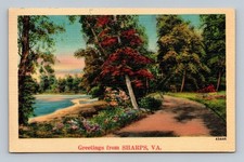 Vintage Linen Postcard Greetings from Sharps ...