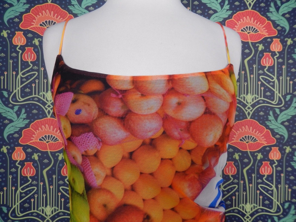 Zara Midi Dress Fruit Stand Printed Mesh Knit Pencil Nwt XS/S | eBay
