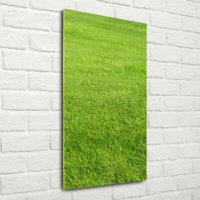 Wand-Bild Kunstdruck aus Hart-Glas Hochformat 70x140 Grünes Gras