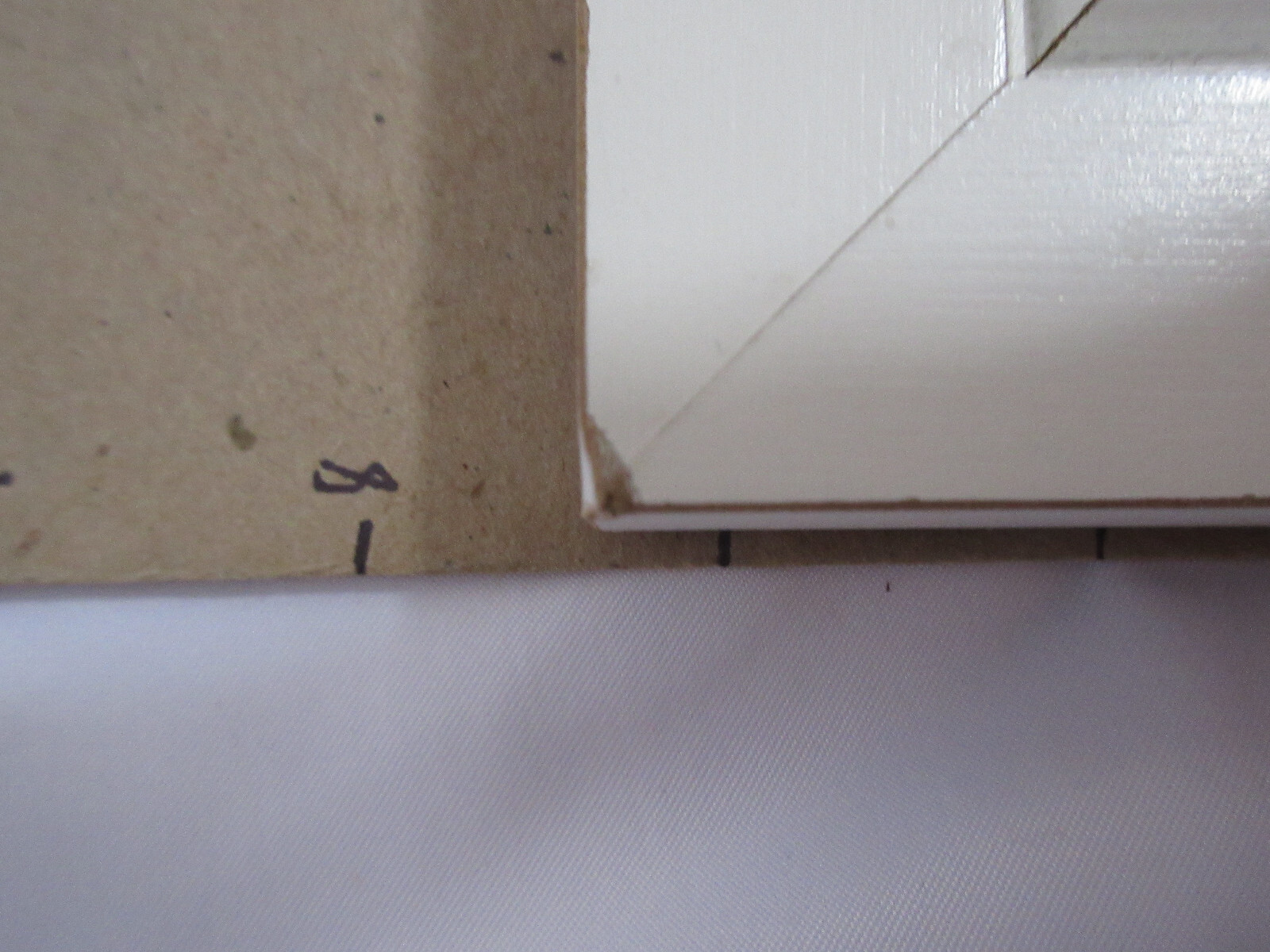 Picture 6 of 6