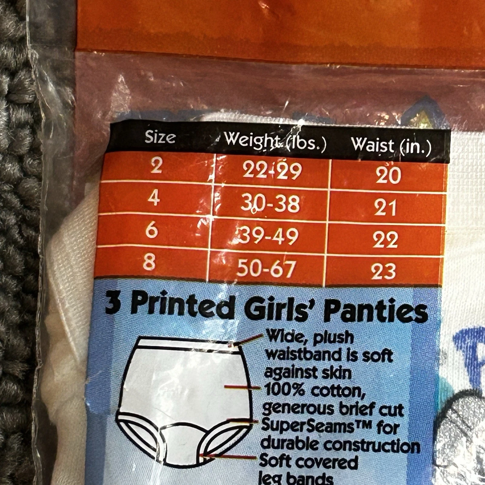 ポケモン フルーツオブザルーム ガールズ サイズ2 ファンパル 下着 100% コットン VTG 1999 - 画像4/5