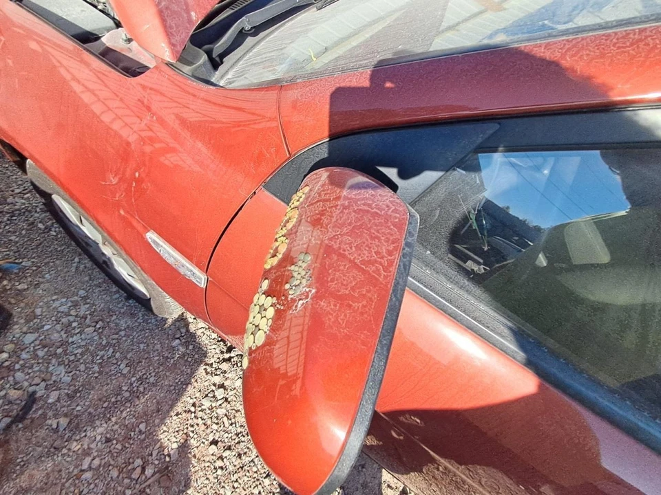 Chassis ECM Body Control BCM Center Dash And Console Fits 08-11 ACCENT 2648209 Foto 3 de 4