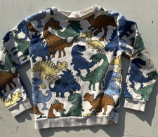 Kid's H M Sweatshirt Multicolor Dinosaur Print 6X/7 Boy's Prehistoric Colorblock