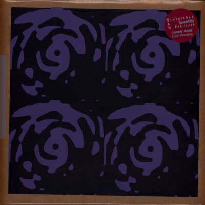 New Issue - Diminished & Transmitting (Vinyl LP - 2024 - US - Original)
