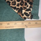 Foto 2 di 6