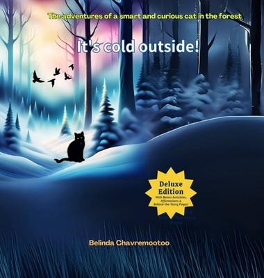 It's Cold Outside!: The Adventures Of A Smart And Curious Ca...