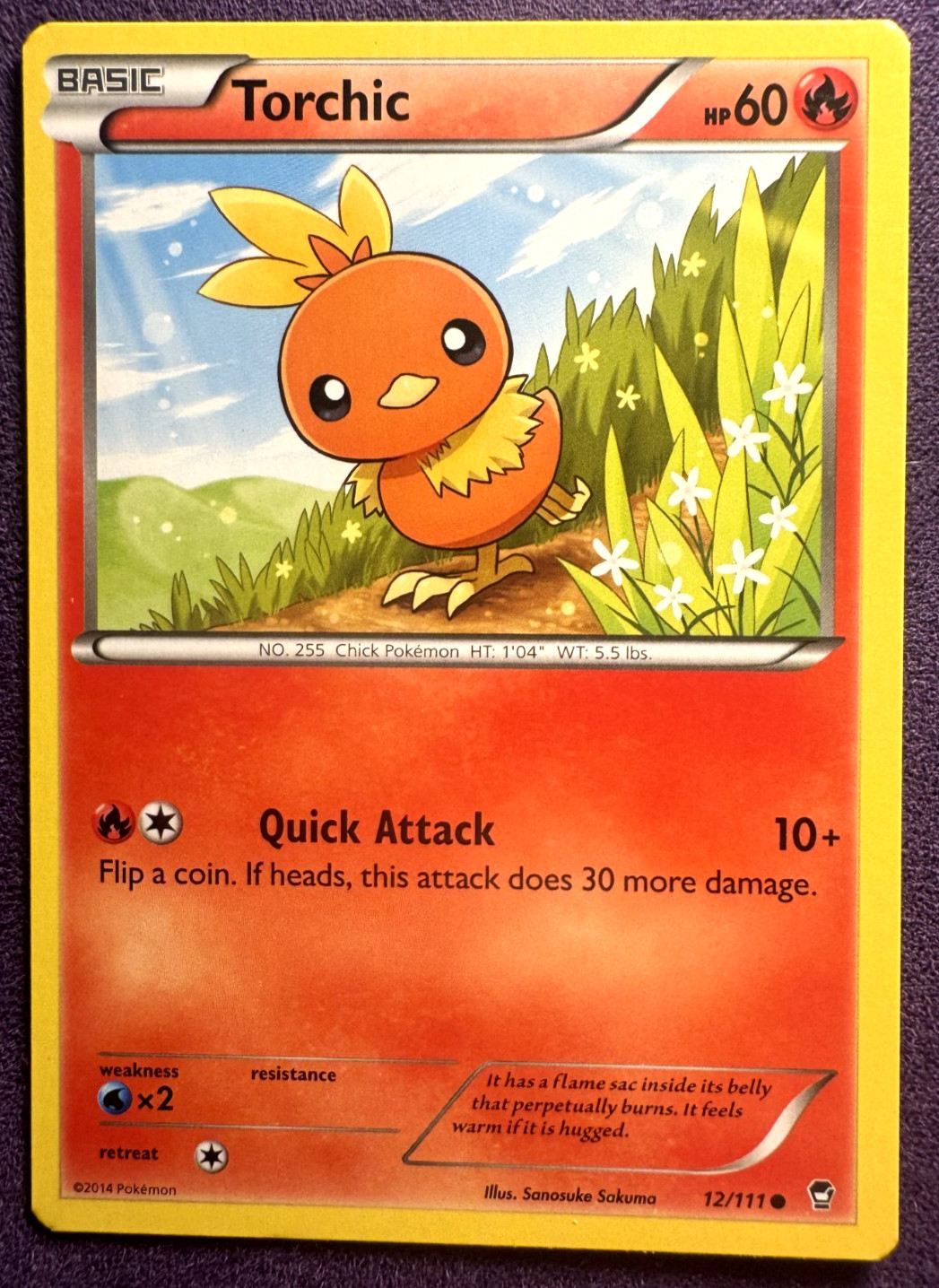 Torchic 12/111 - Pokemon XY Furious Fists Card