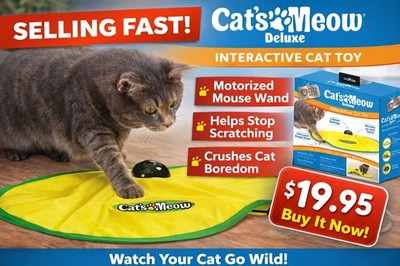 Cat s Meow Deluxe Interactive Cat Toy Motorized Mouse Chaser Exercise Toy