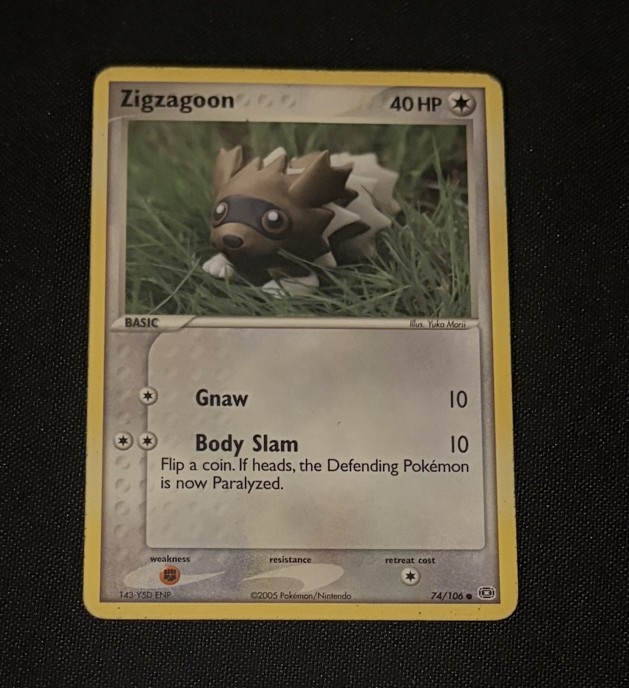 The Pokémon Company Zigzagoon Emerald 74/106 Common Regular 40HP English