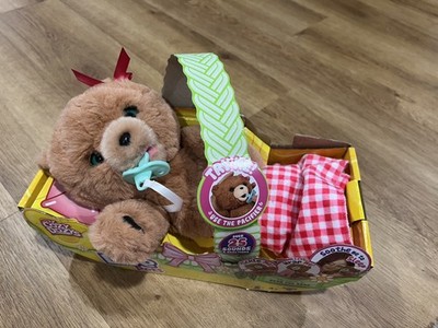 Little Live Pets Cozy Dozys Beau the Bear 2020 New Open Package Works W/Battery