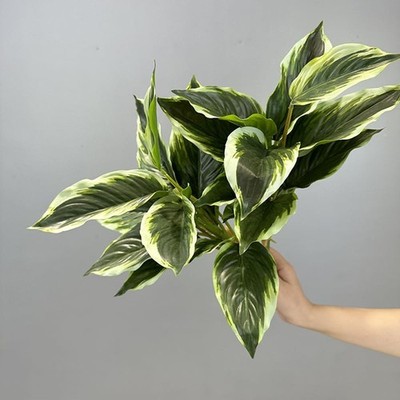 2 Packs Variegated Hosta Artificial Plant 17.7'' Faux Green Dieffenbachia Gree...