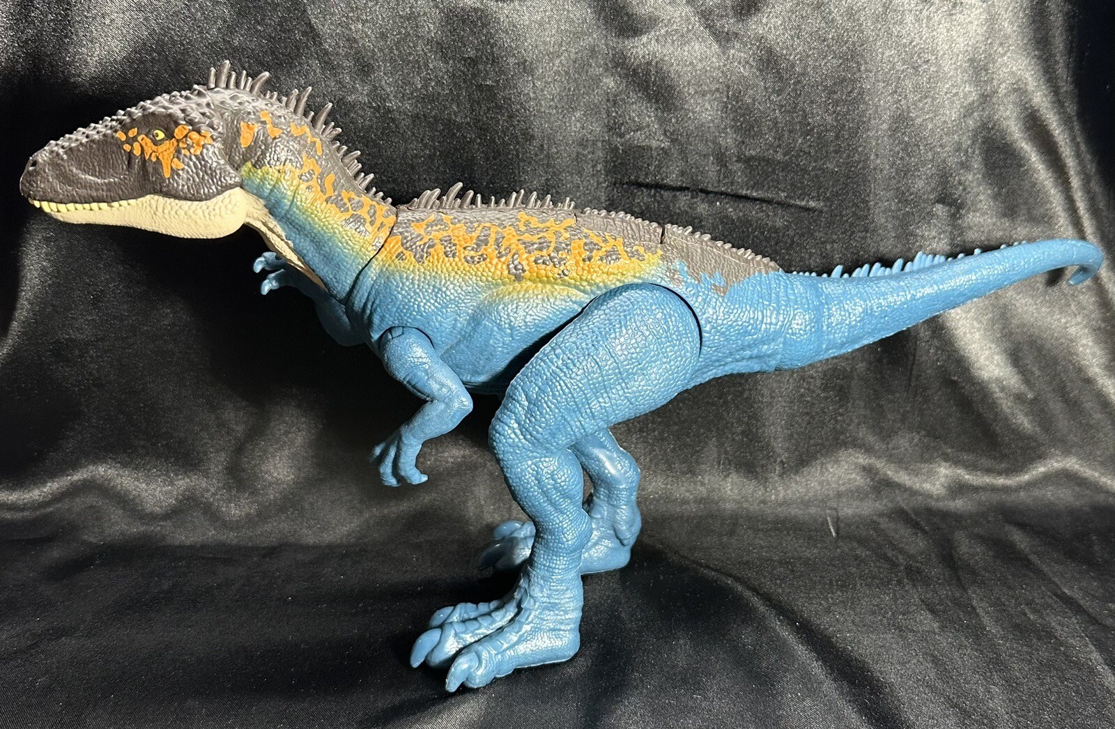 Picture 4 of 16