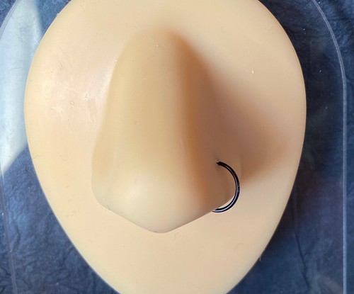 1 Stück Nasenring Gold IP Chirurgenstahl Creolen 16 g 18 g 20 g 22 g, 5/16", 3/8", 8 mm 10 mm - Bild 9 von 11