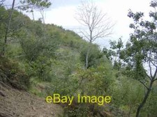 Photo 6x4 Scrub land above The Solent Porchfield Between the holiday vill c2007