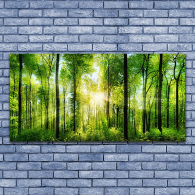 Acrylglasbilder Wandbilder Druck 140x70 Wald Natur