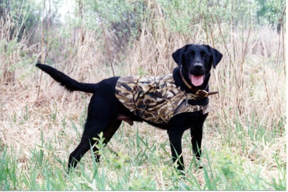 Camo neoprene shop dog vest