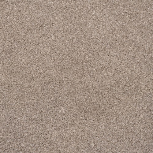 Finsbury Twist Pile Actionback Carpet 12mm Thick Cheap Lounge Dining Room - Picture 7 of 13