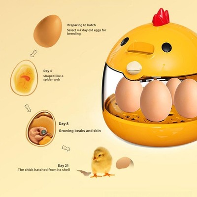 Egg Incubator For Hatching Eggs Small Smart Constant Temperature ﻿' G7H3