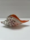 Vintage Murano Style Art Glass Conch Shell Cream Orange Brown Flecks 4.5x11”