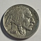 1935  Buffalo Nickel V-Fine to Xtremely Fine Details Full Horn Plastic Protector