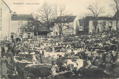 France Vosges - XERTIGNY - The Livestock Fair agriculture breeding cows postcard