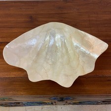 Vassoio conchiglia in madre perla centro tavola