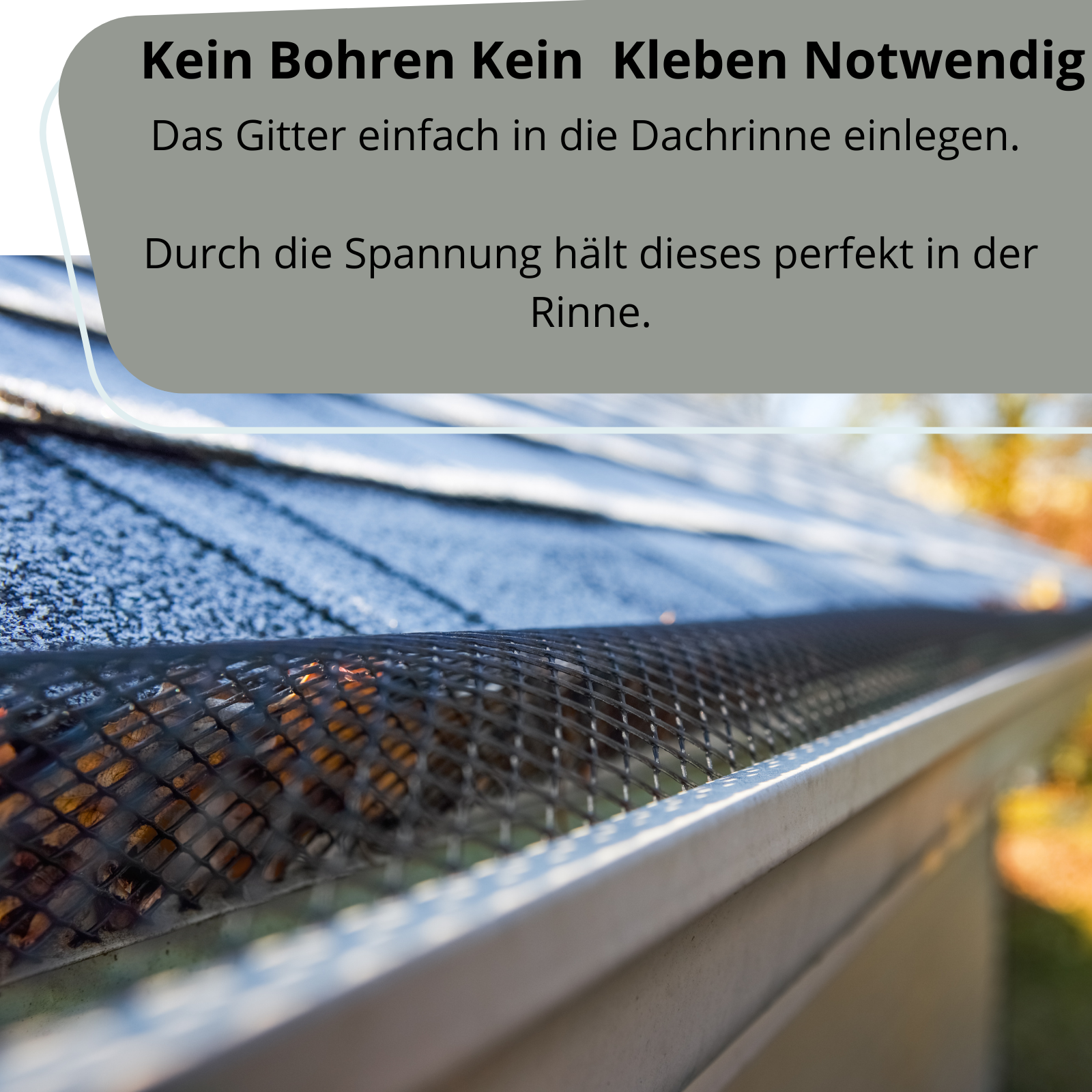 Bild 4 von 8