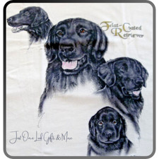 Flat-Coated Retriever T-shirt 2XL 50/52 White