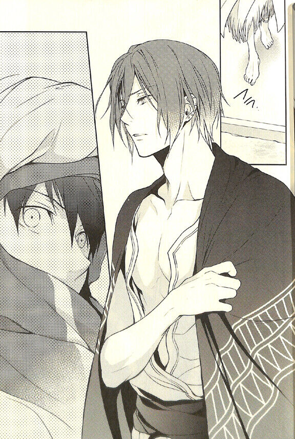 USED) Doujinshi - Free! (Iwatobi Swim Club) / Haruka & Rin & All