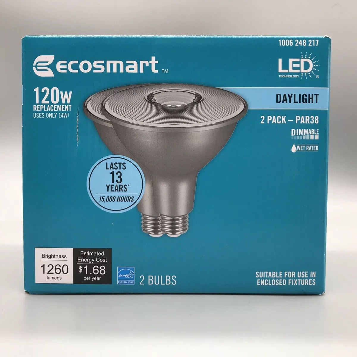 Ecosmart par38 2024