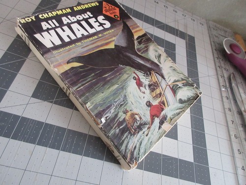 All About Whales, Allabout Books #8 Roy Chapman Andrews Hardcover w/Dust Jacket - Imagen 2 de 6