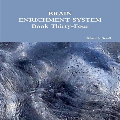 BRAIN ENRICHMENT SYSTEM Book Thirty-Four Richard L. Newell Paperb