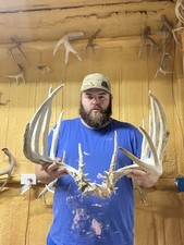GIANT 226 28pt Set Whitetail Deer Antler Horns Taxidermy Mount Man Cave Decor