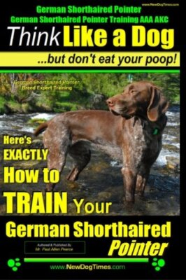 German Shorthaired Pointer, German Shorthaired Pointer Training AAA AKC: Thin-,