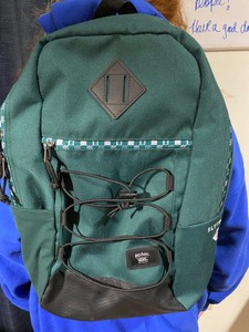 vans slytherin backpack