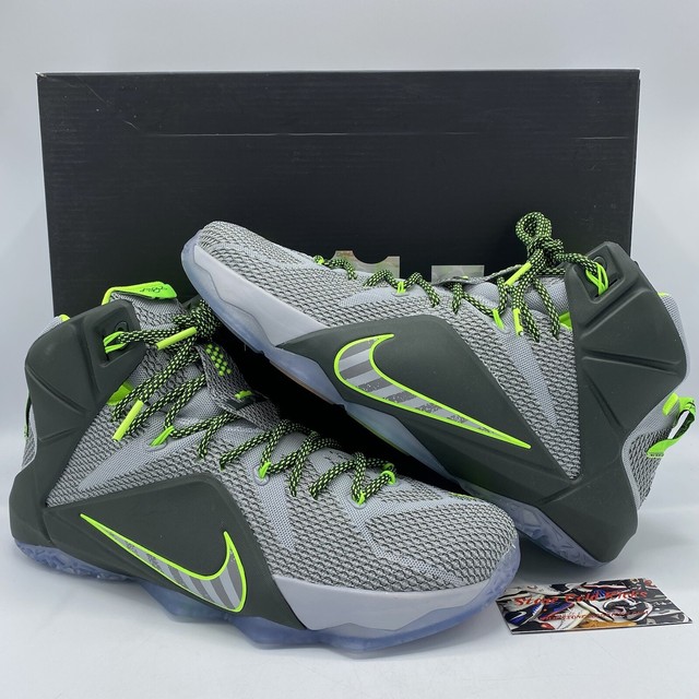lebron 12 dunkman