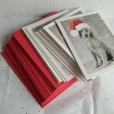 20 Marcel Schurman Christmas Cards Golden Retriever DOG IN RED CAP W/Envelopes