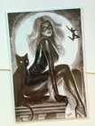 Amazing Spider-Man #1 BLACK & WHITE Variant Nathan Szerdy Black Cat C2E2 Excl NM