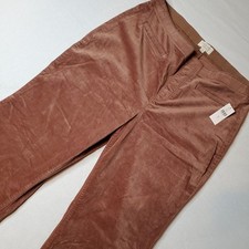 Anthropologie Pilcro Women's Size 32 NWT Pull On Flare Leg Velvet Pants Brown