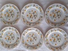6 x Colclough  Angela  8647  Tea / Side Plates 6.25in approx buttercups