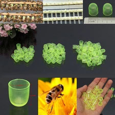 100Pcs Thick green  Beekeepers Bee Queen Royal Beekeeping Raise Rearing Cell Cup