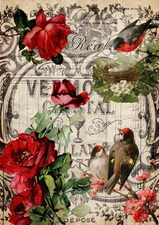 Decoupage Queen - Red Roses and Birds Rice Paper A4