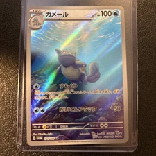 Japanese wortortle  171/165AR 