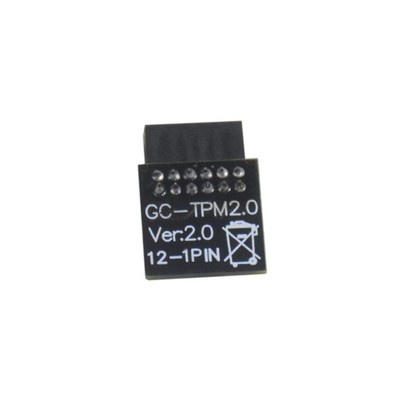 12Pin TPM 2.0 Module LPC Encryption TPM Module Board for Gigabytes