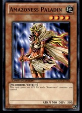 Amazoness Paladin Gold Series 3 GLD3-EN004 MP YuGiOh TCG