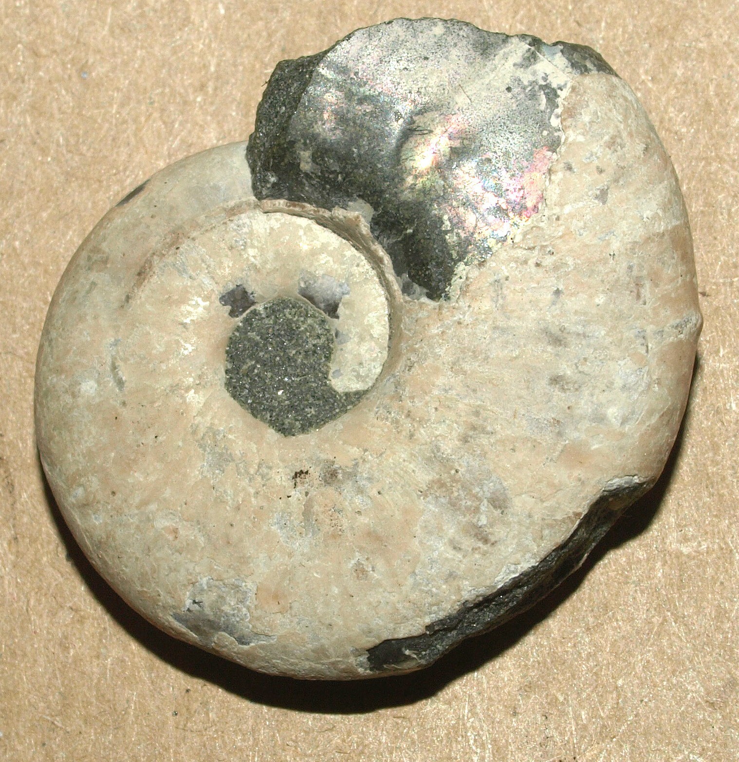 Picture 12 of 17